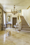 Dog Decor: Canines Living Large